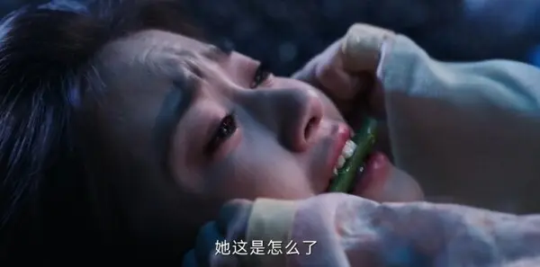 朝雪录第19集剧照